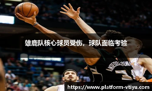 雄鹿队核心球员受伤,球队面临考验